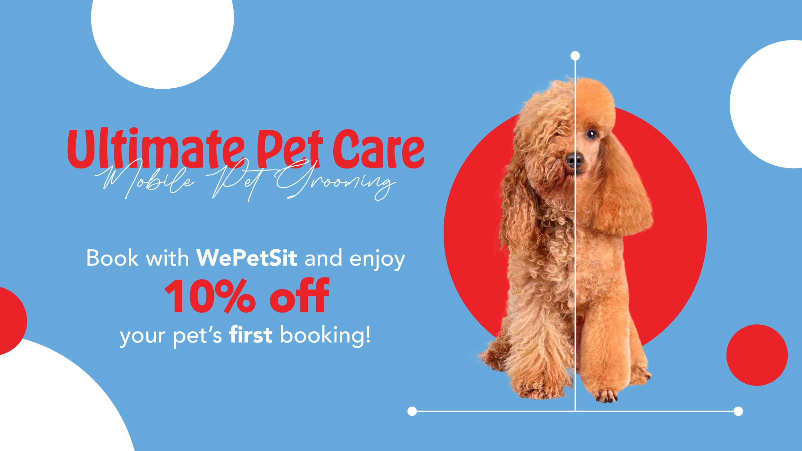 Pet Medical Insurance